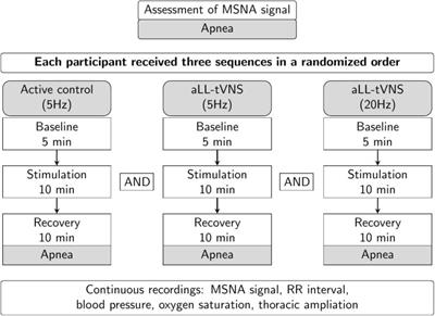 Frontiers | Sympathetic Effect of Auricular Transcutaneous Vagus Nerve